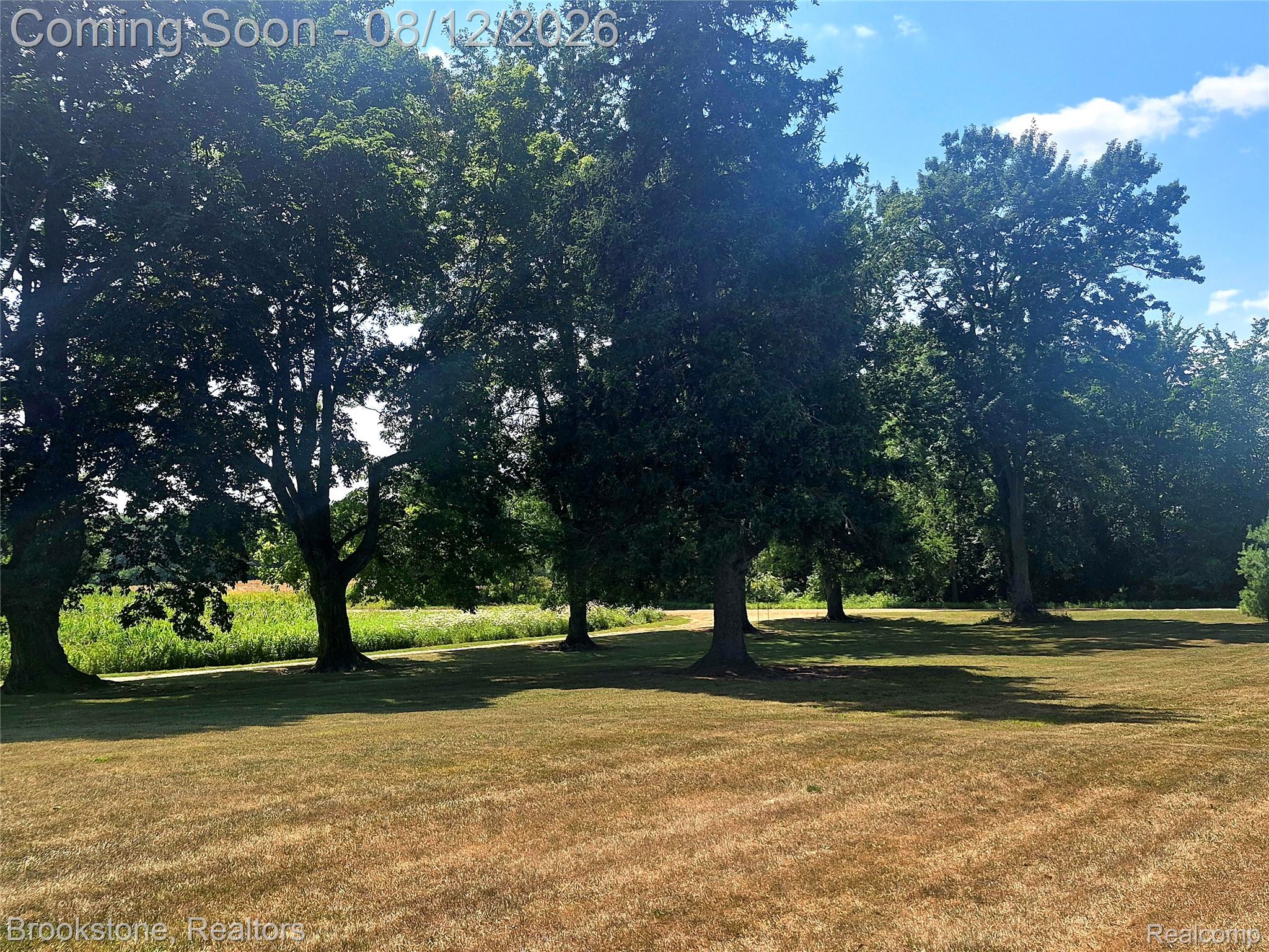 8426 Lake Pleasant Road Clifford, MI 48727 - Photo 22 of 33 Expansive grassy lawn bordered by mature trees and natural foliage