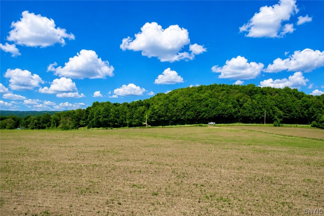 0 Roberts Road Eaton, NY 13334 - Photo 12 of 13