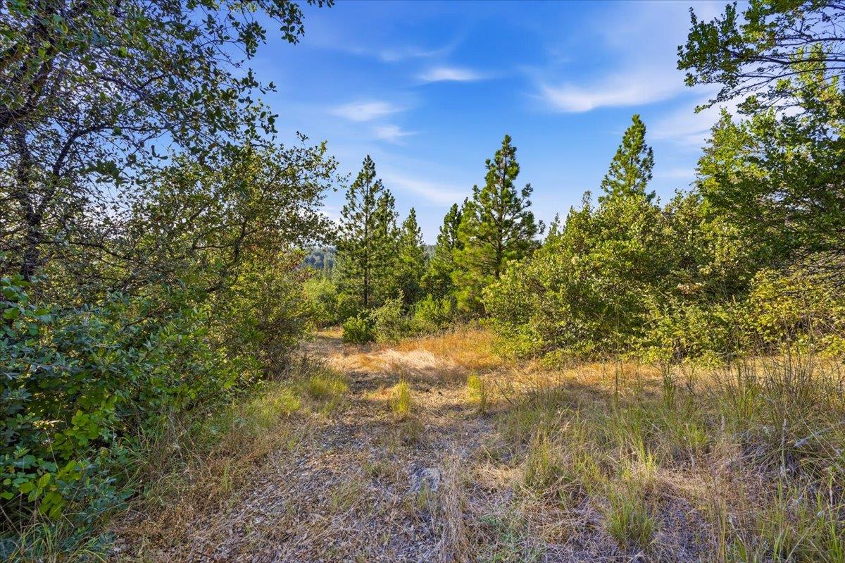 17436 Black Forest Road Penn Valley, CA 95946 - Photo 11 of 36