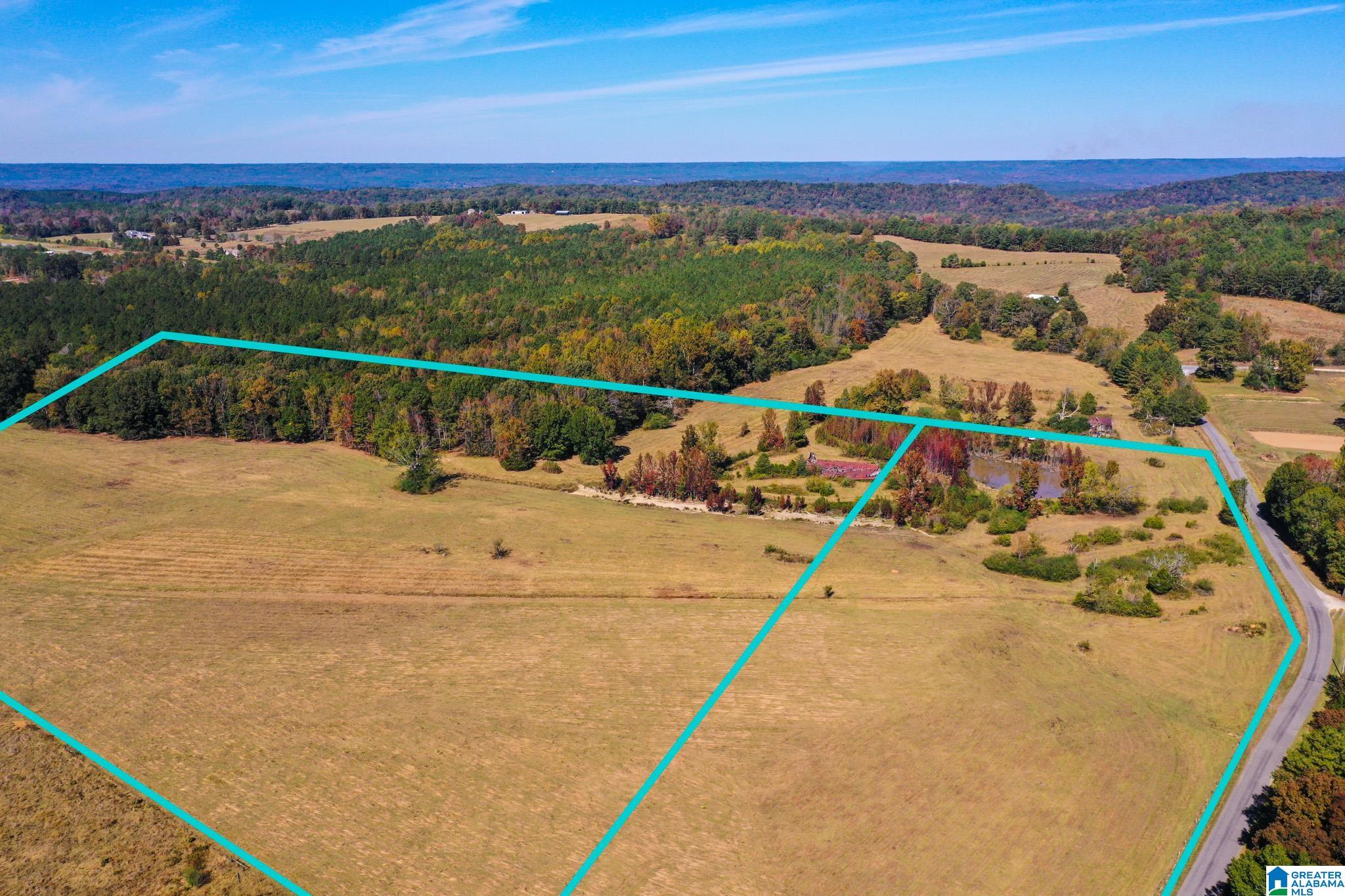 0 Rock Springs Road, Unit 52 24 Warrior, AL 35180 - Photo 4 of 39