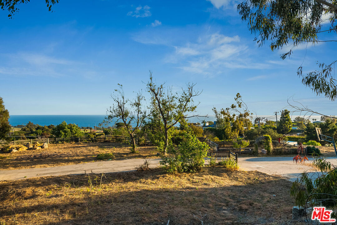 29829 Harvester Road Malibu, CA 90265 - Photo 20 of 44 a view of a yard with an outdoor space
