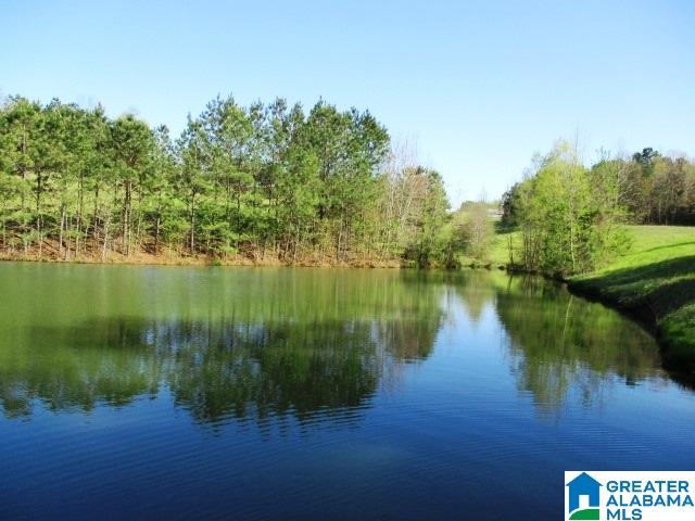 6971 Highway 24 Oneonta, AL 35121 - Photo 4 of 45