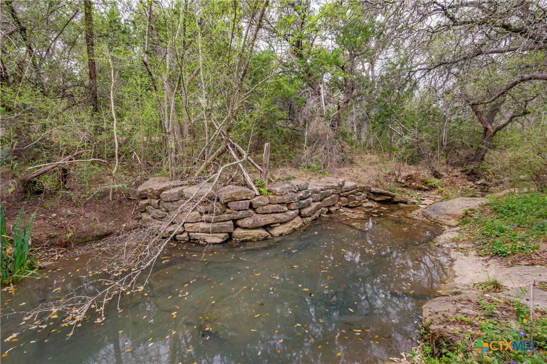 250 Mail Rte Road Fischer, TX 78623 - Photo 4 of 30