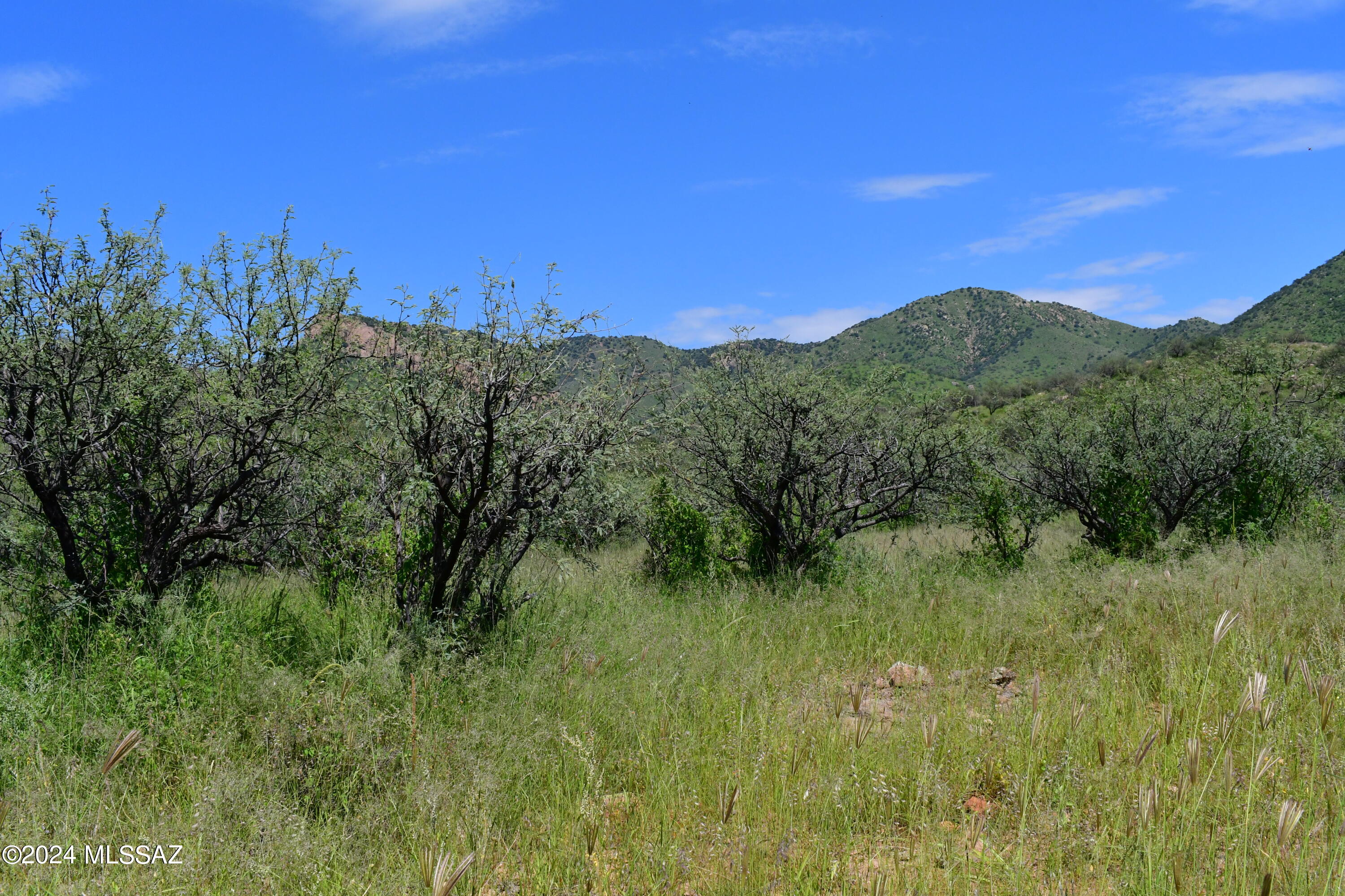 Tbd Tbd Mesquite Trail, Unit 132 Rio Rico, AZ 85648 - Photo 20 of 23