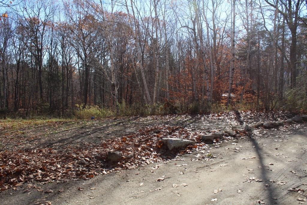 53 Hornbeam Road Dedham, ME 04429 - Photo 21 of 23 Photo
