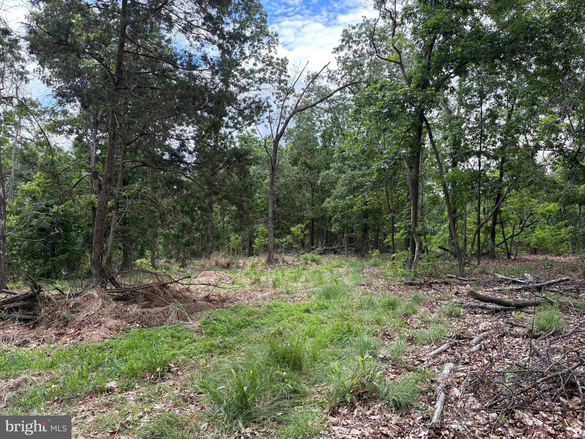 40.15-ac Middle Ridge Road Burlington, WV 26710 - Photo 36 of 47