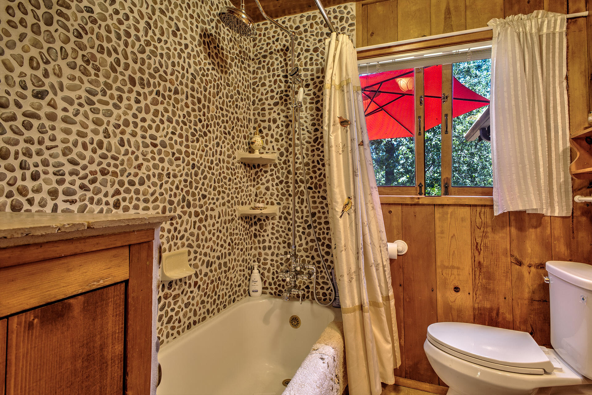 25395 Lodge Road Idyllwild, CA 92549 - Photo 17 of 53 a bathroom with a bathtub and shower