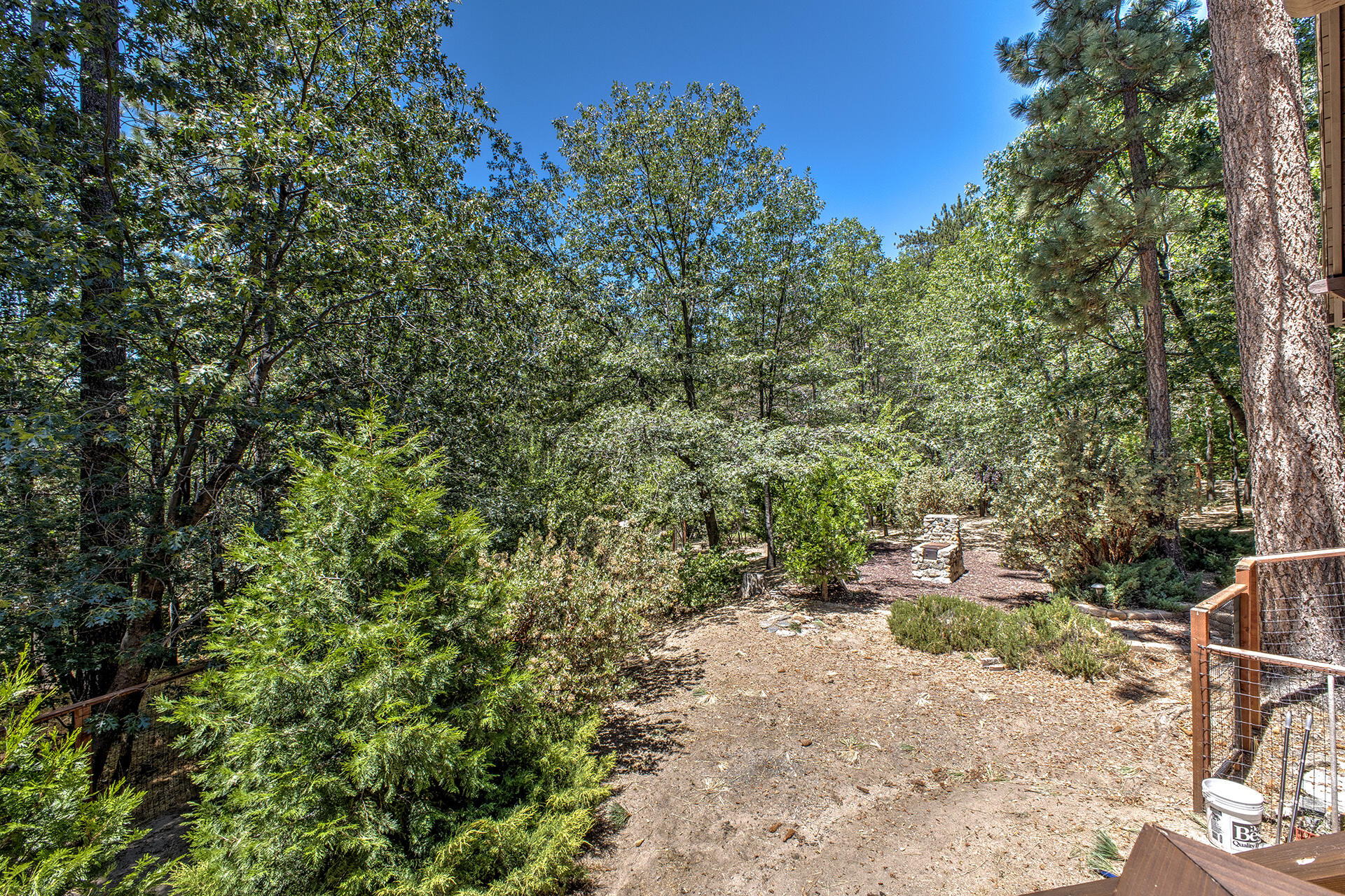 25395 Lodge Road Idyllwild, CA 92549 - Photo 21 of 53 a view of a yard with plants and large trees
