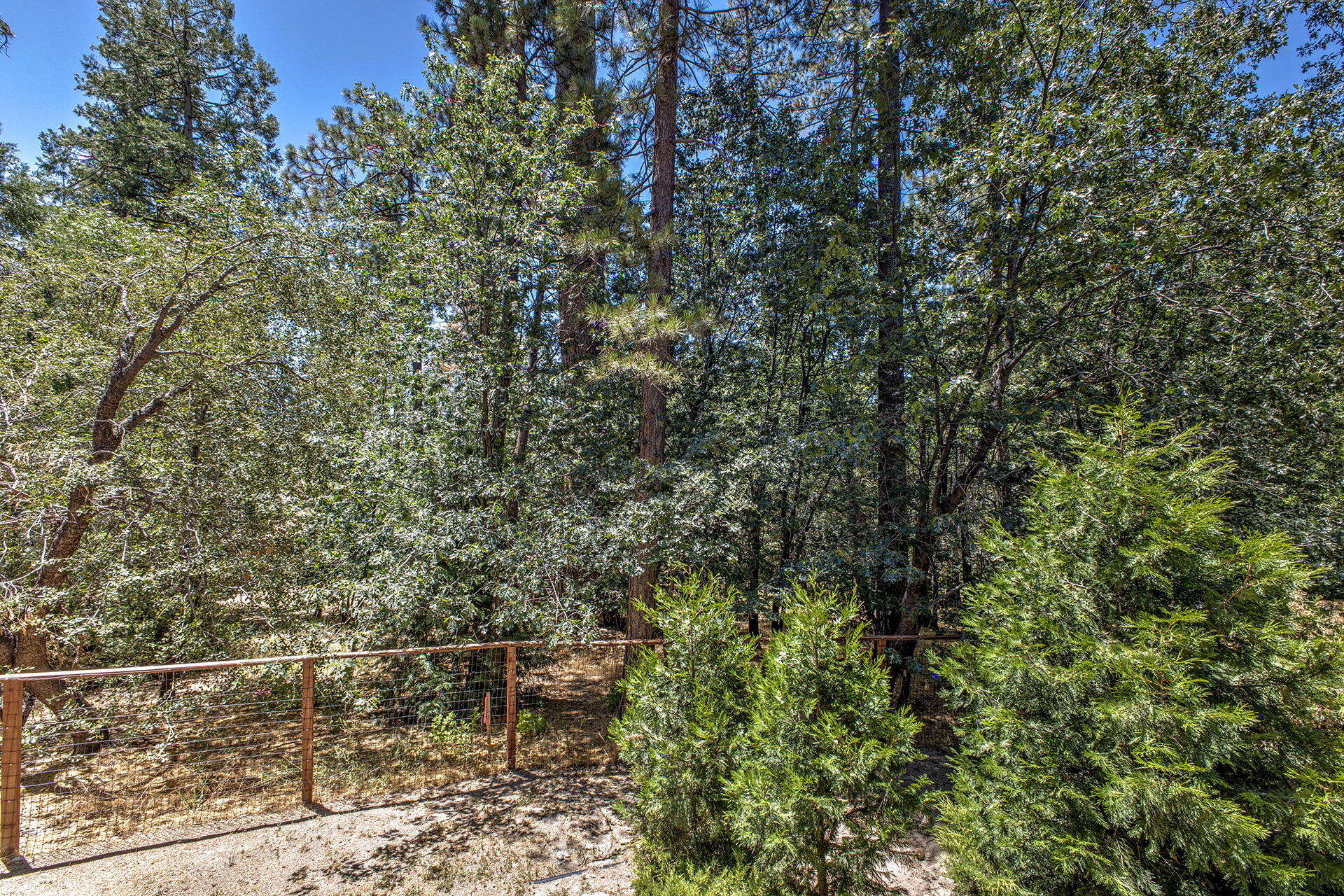 25395 Lodge Road Idyllwild, CA 92549 - Photo 22 of 53 a view of a city with lush green forest