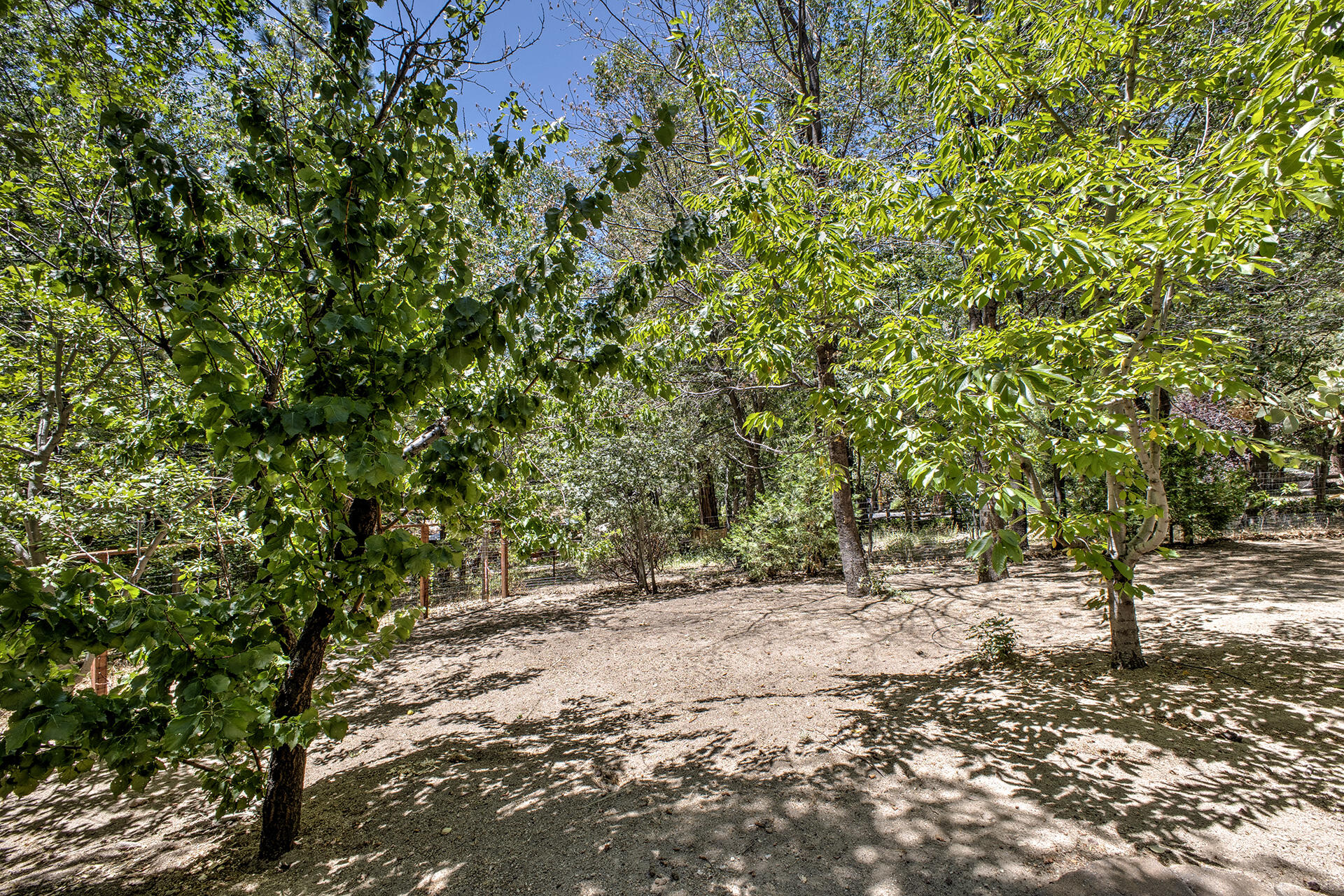 25395 Lodge Road Idyllwild, CA 92549 - Photo 38 of 53 a view of outdoor space and yard