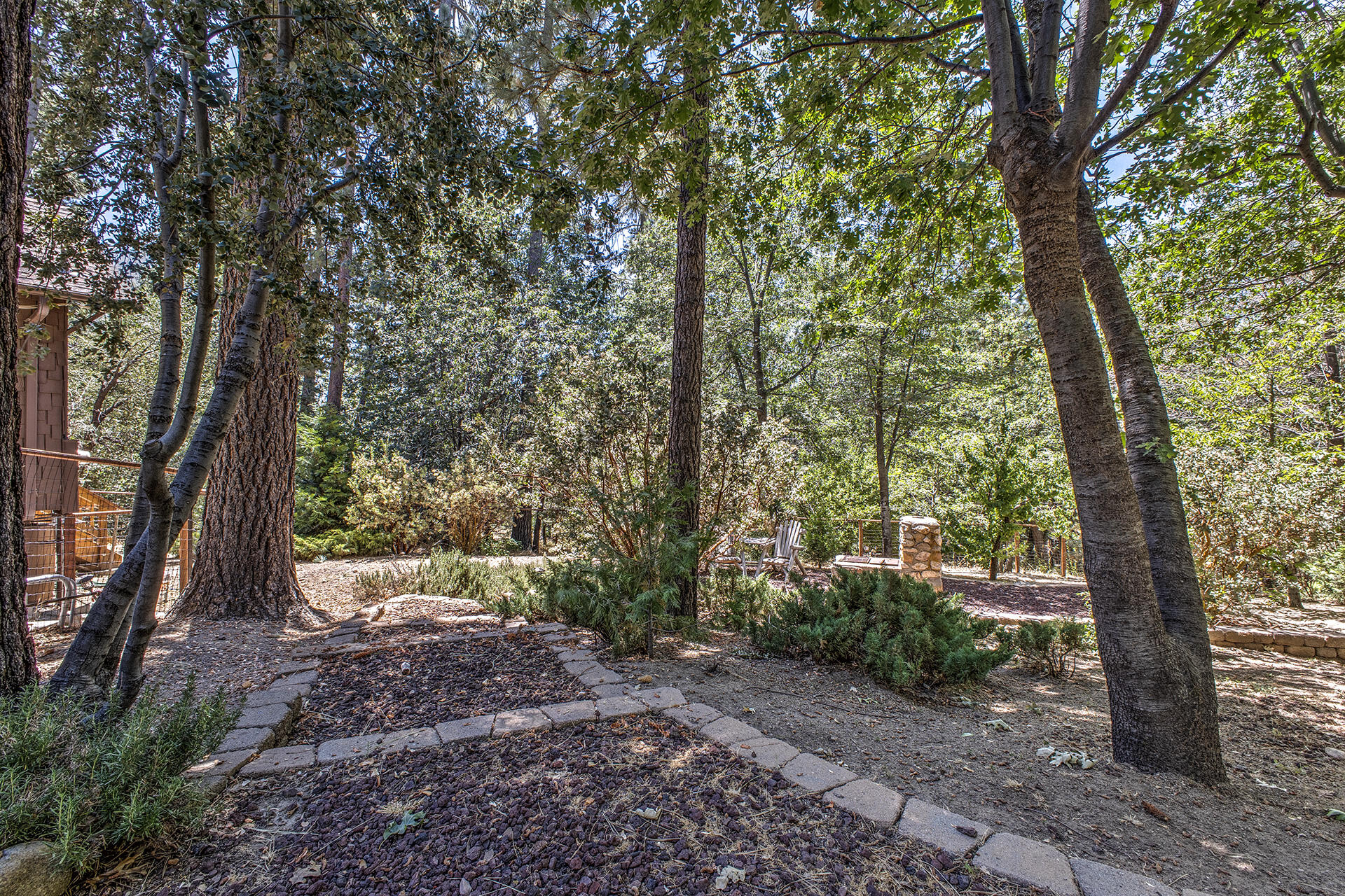25395 Lodge Road Idyllwild, CA 92549 - Photo 42 of 53 a view of a forest with trees