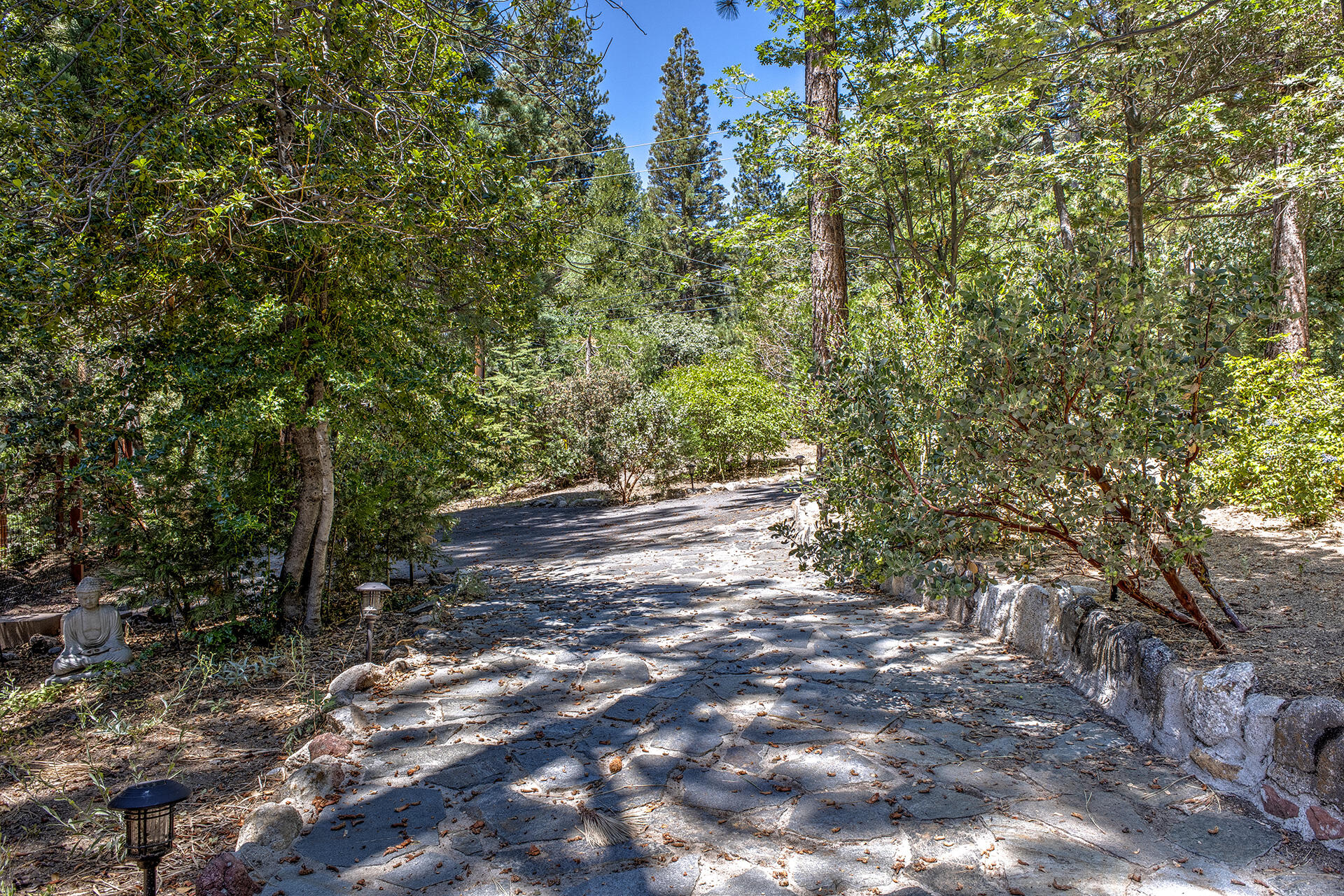25395 Lodge Road Idyllwild, CA 92549 - Photo 44 of 53 a view of yard