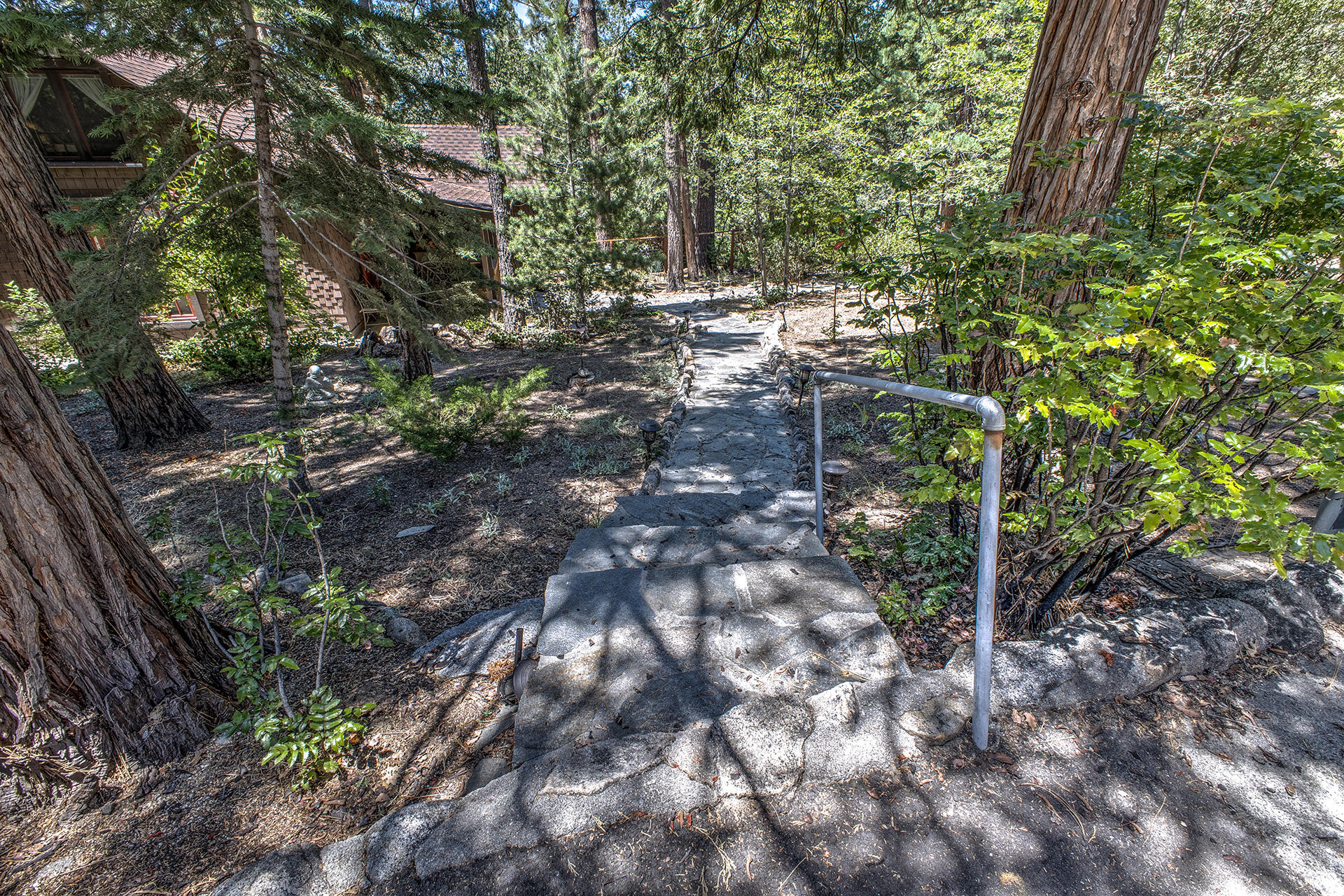 25395 Lodge Road Idyllwild, CA 92549 - Photo 49 of 53 a view of forest
