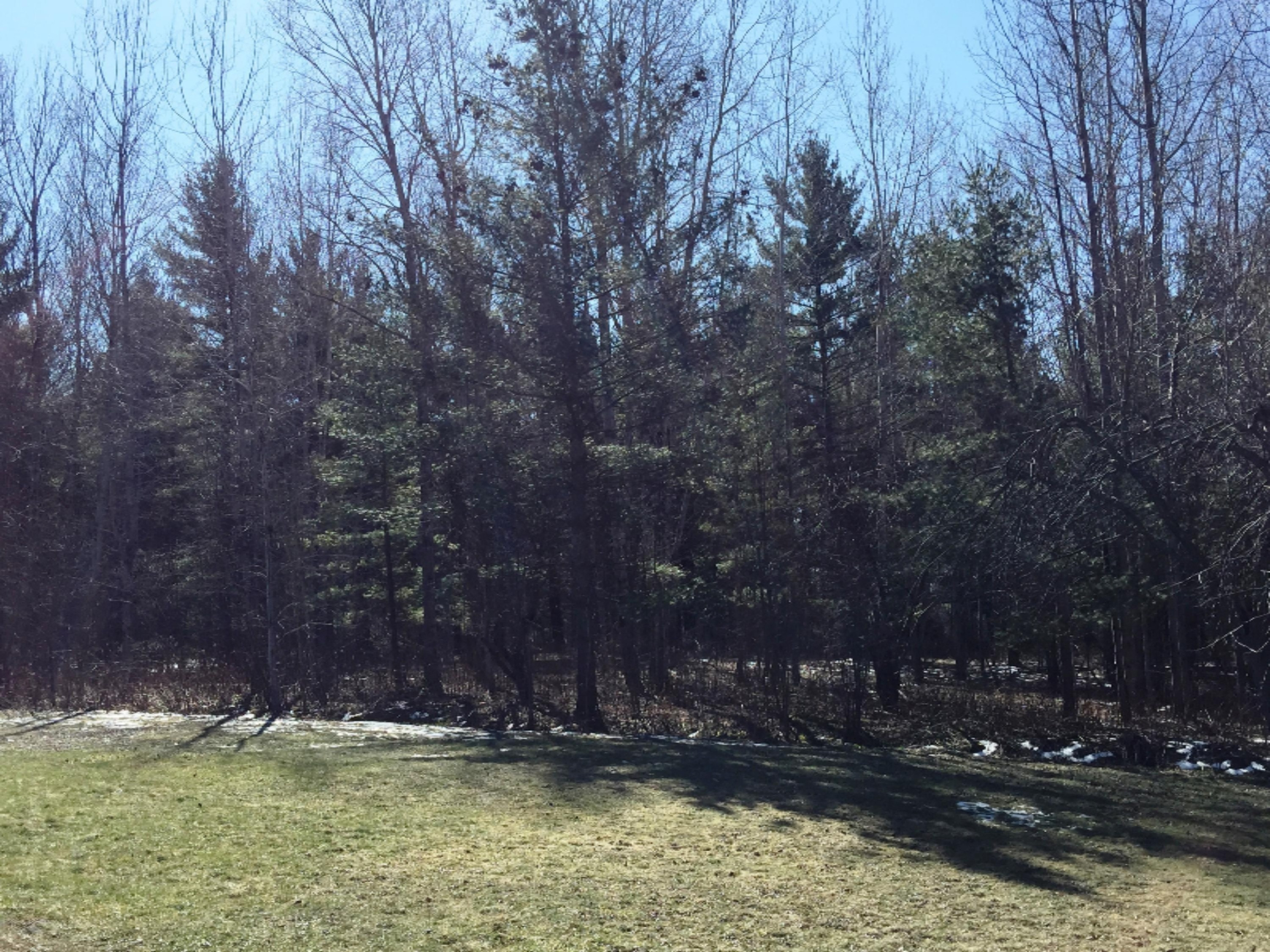20634 Patterson Road Tustin, MI 49688 - Photo 31 of 34 IMG_7022