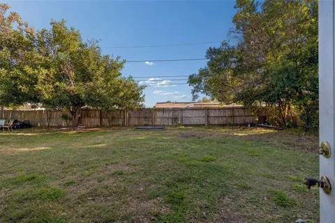 a view of a trees in a yard