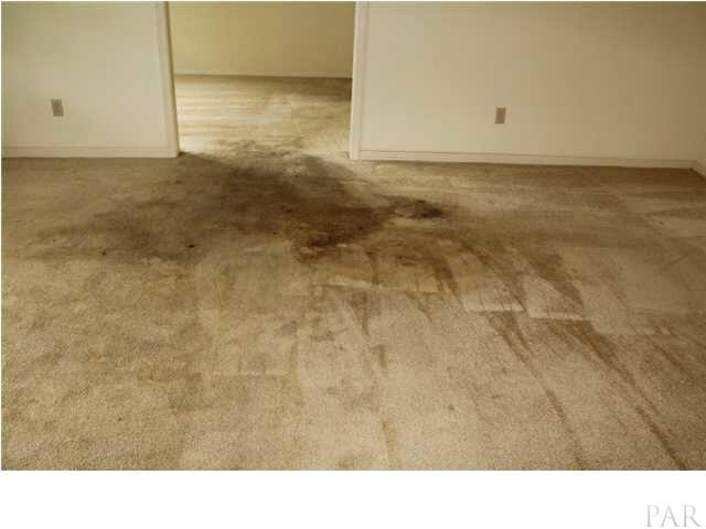 7377 Chesterfield Road Pensacola, FL 32506 - Photo 3 of 25 Stains on carpet