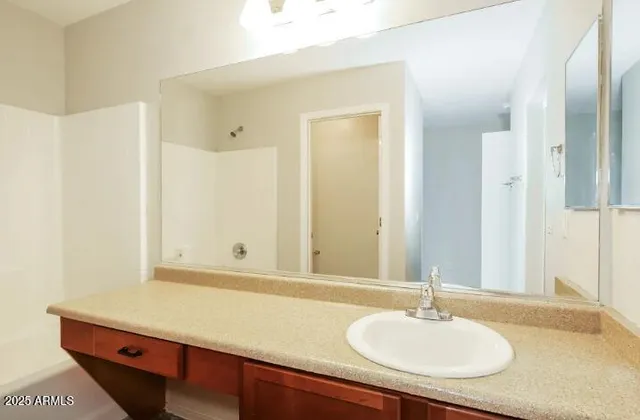 a bathroom with a sink and a mirror