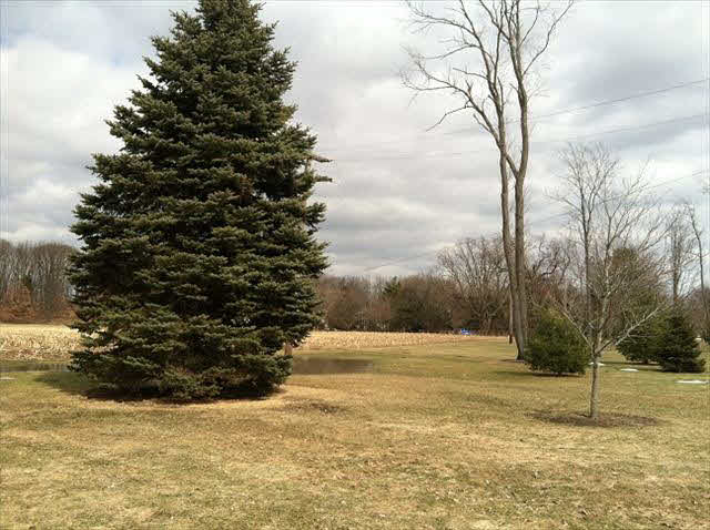 4940 Blue Bush Road Monroe, MI 48162 - Photo 12 of 12 9+ acres