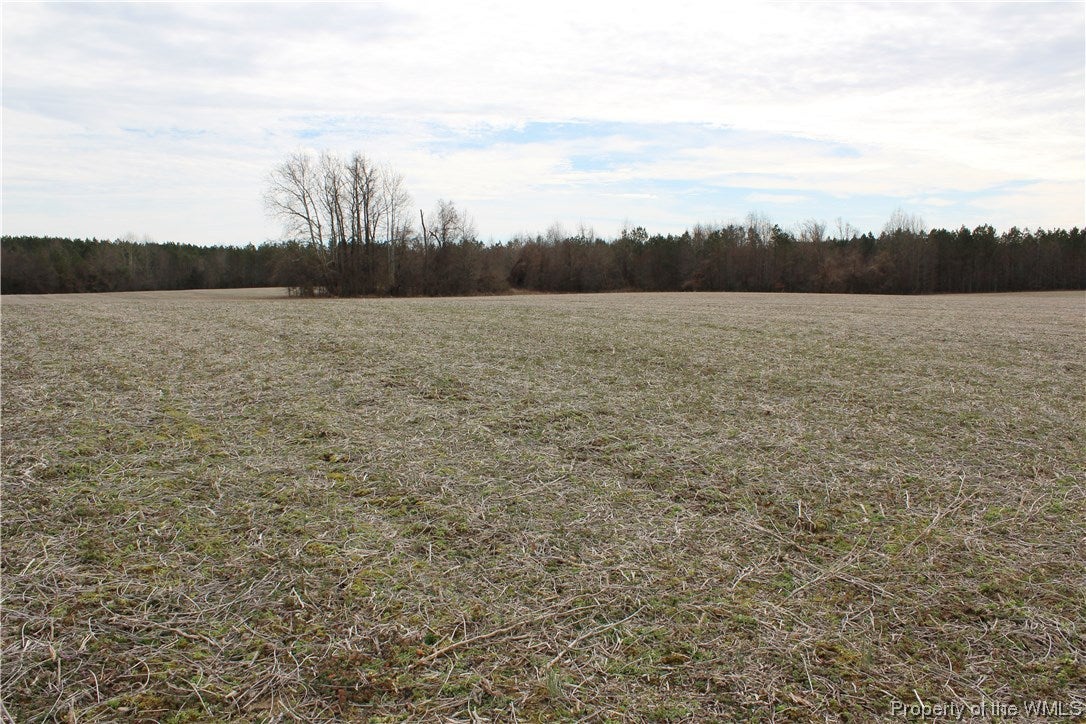 Lot Diamond Diamond Grove Road Skippers, VA 23879 - Photo 1 of 6 Gallery Image 1