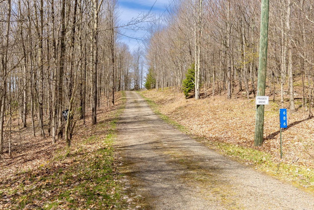 686 Campbell Estates Road Franklin, NY 13775 - Photo 41 of 48