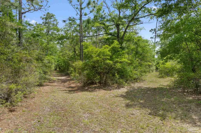 $224,000 | Lot 12 Peaceful Lane, Milton, FL 32570