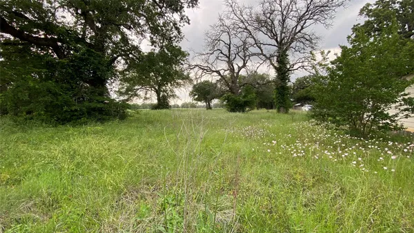 a view of backyard with green space