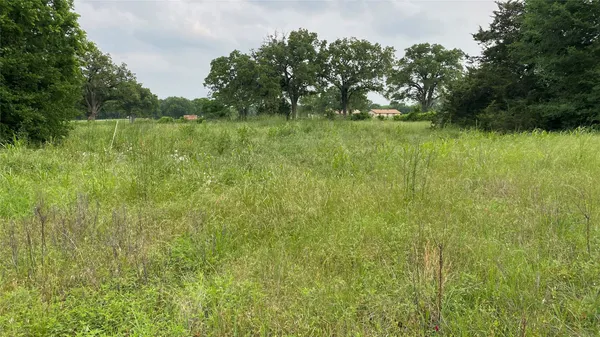 a view of a lush green space