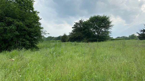 a view of a lush green space