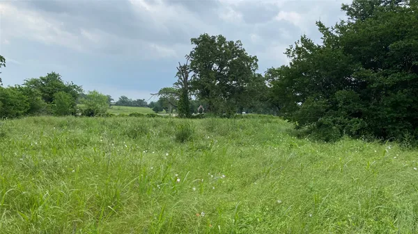 a view of a lush green space