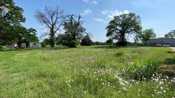 a view of a grassy field with trees
