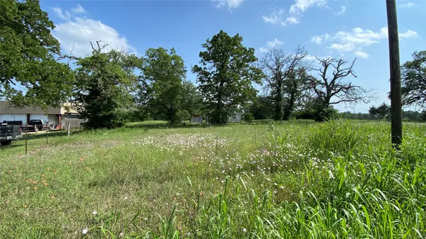 a view of a garden with a tree