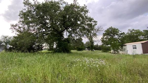 a backyard of a house with lots of green space and trees in the background