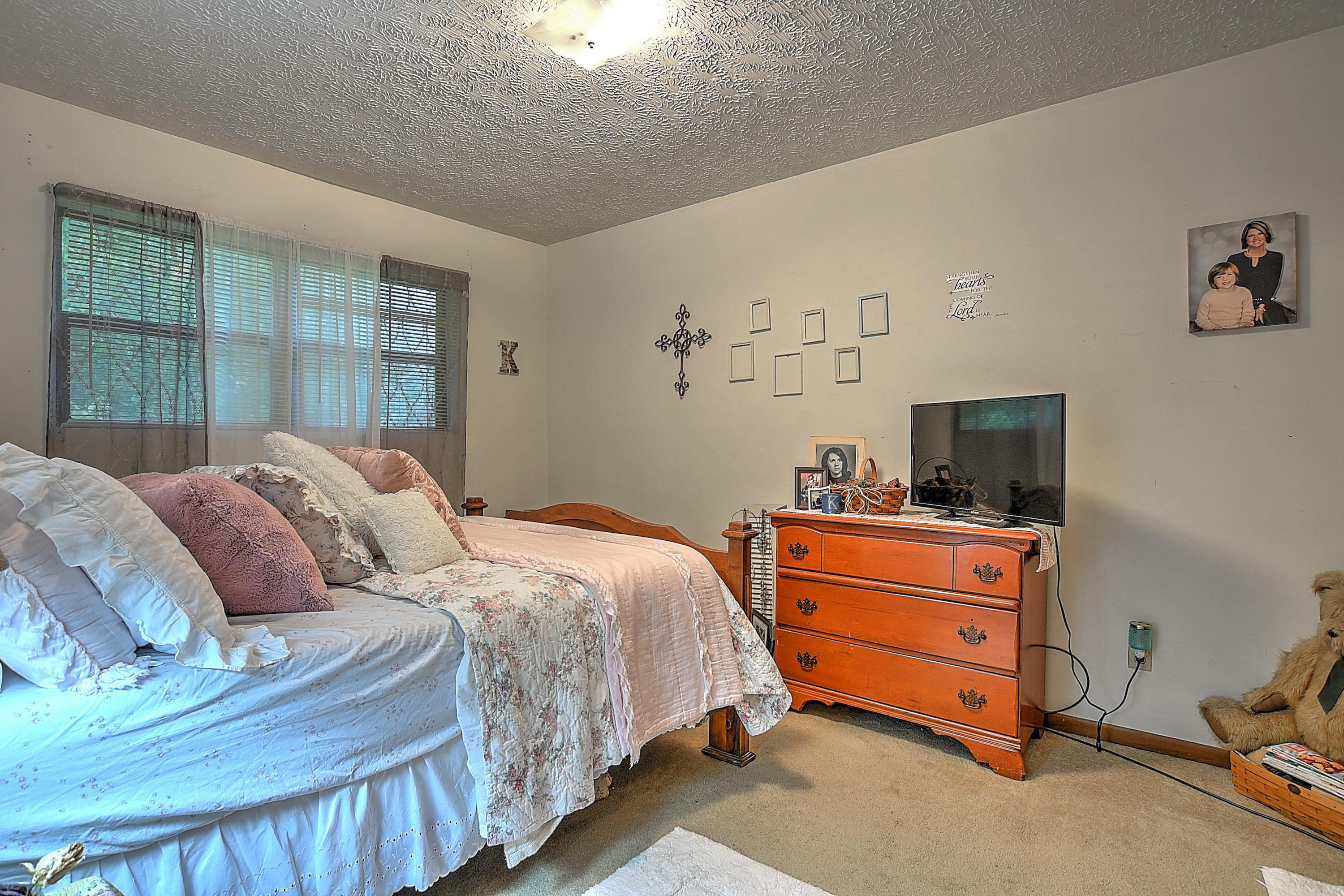 245 Dunlap Road, Unit 16 Blountville, TN 37617 - Photo 11 of 28 245 Dunlap-7