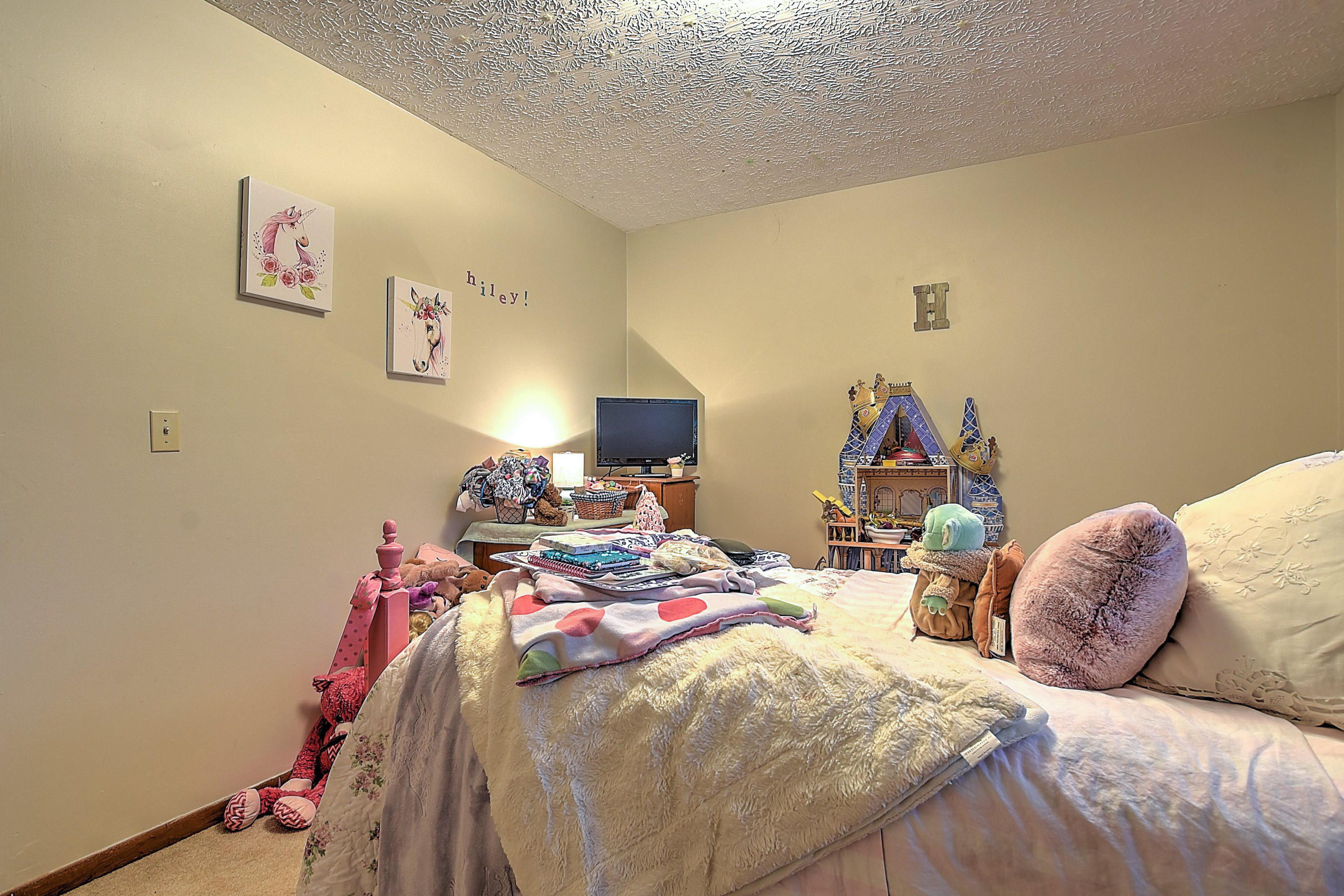 245 Dunlap Road, Unit 16 Blountville, TN 37617 - Photo 15 of 28 245 Dunlap-11