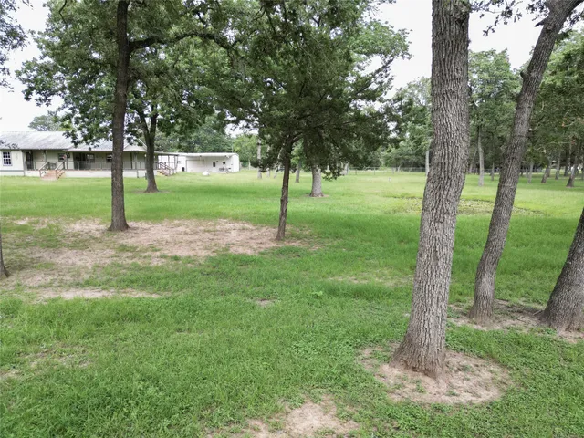 a green field with lots of trees