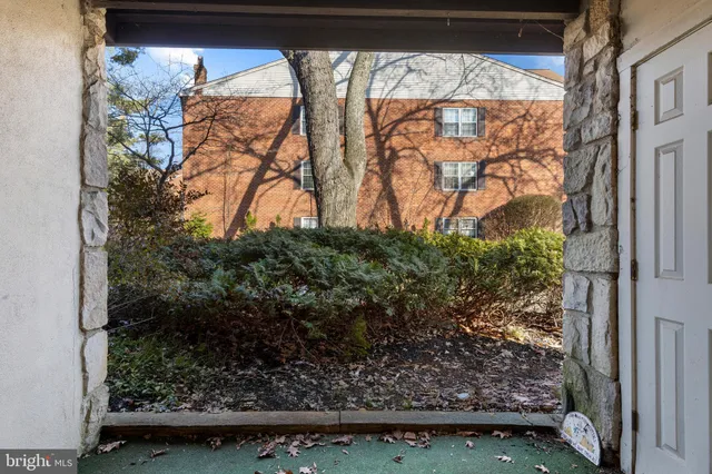 a view of backyard from window