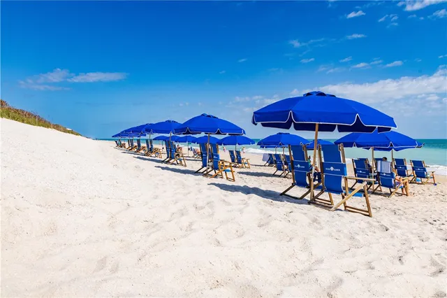 a view of chairs and tables with umbrellas in patio