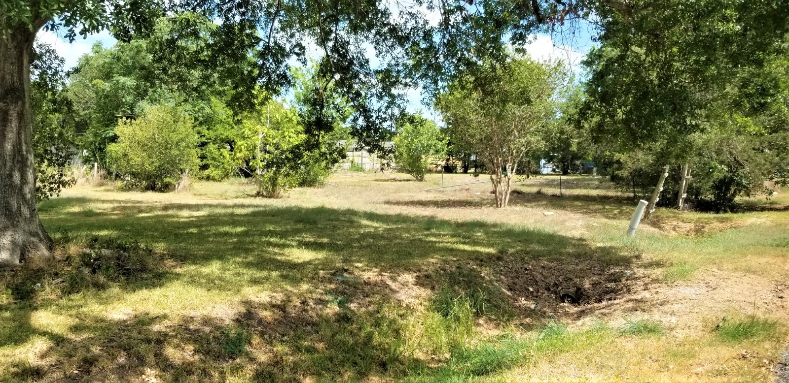 401 2nd Street Rosenberg, TX 77471 - Photo 3 of 6 a view of a yard with trees