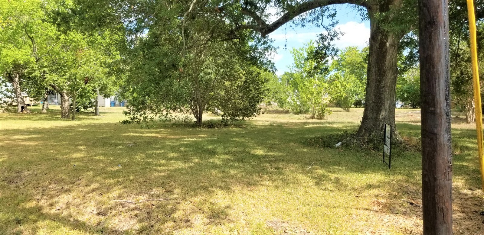 401 2nd Street Rosenberg, TX 77471 - Photo 4 of 6 a view of a trees in a yard