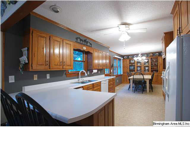 890 Black Acres Road Cropwell, AL 35054 - Photo 4 of 27 Gallery Image 4