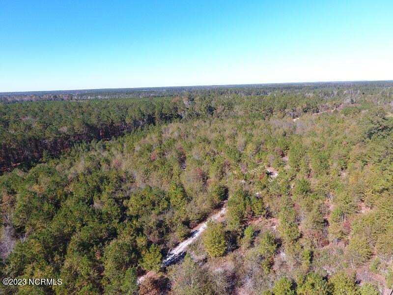 4 Pine Acres Road White Oak, NC 28399 - Photo 1 of 5 IMG_1442
