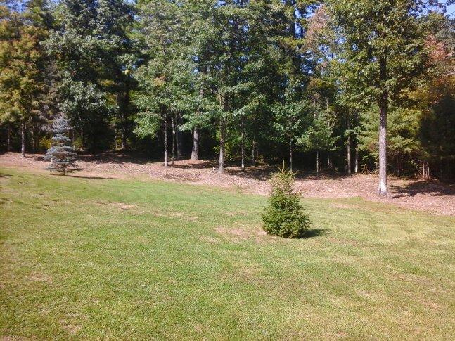 2701 Dam Road Eagle River, WI 54521 - Photo 30 of 33 Gallery Image 30
