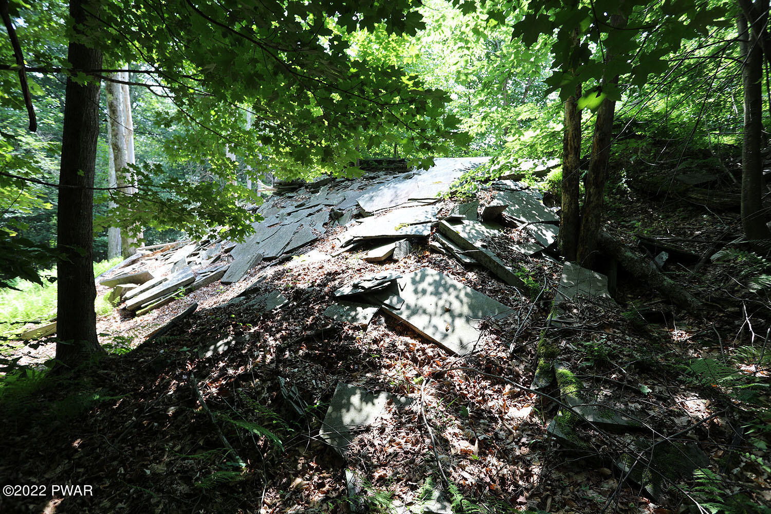 0 Minckler Mountain Road Damascus, PA 18415 - Photo 13 of 43