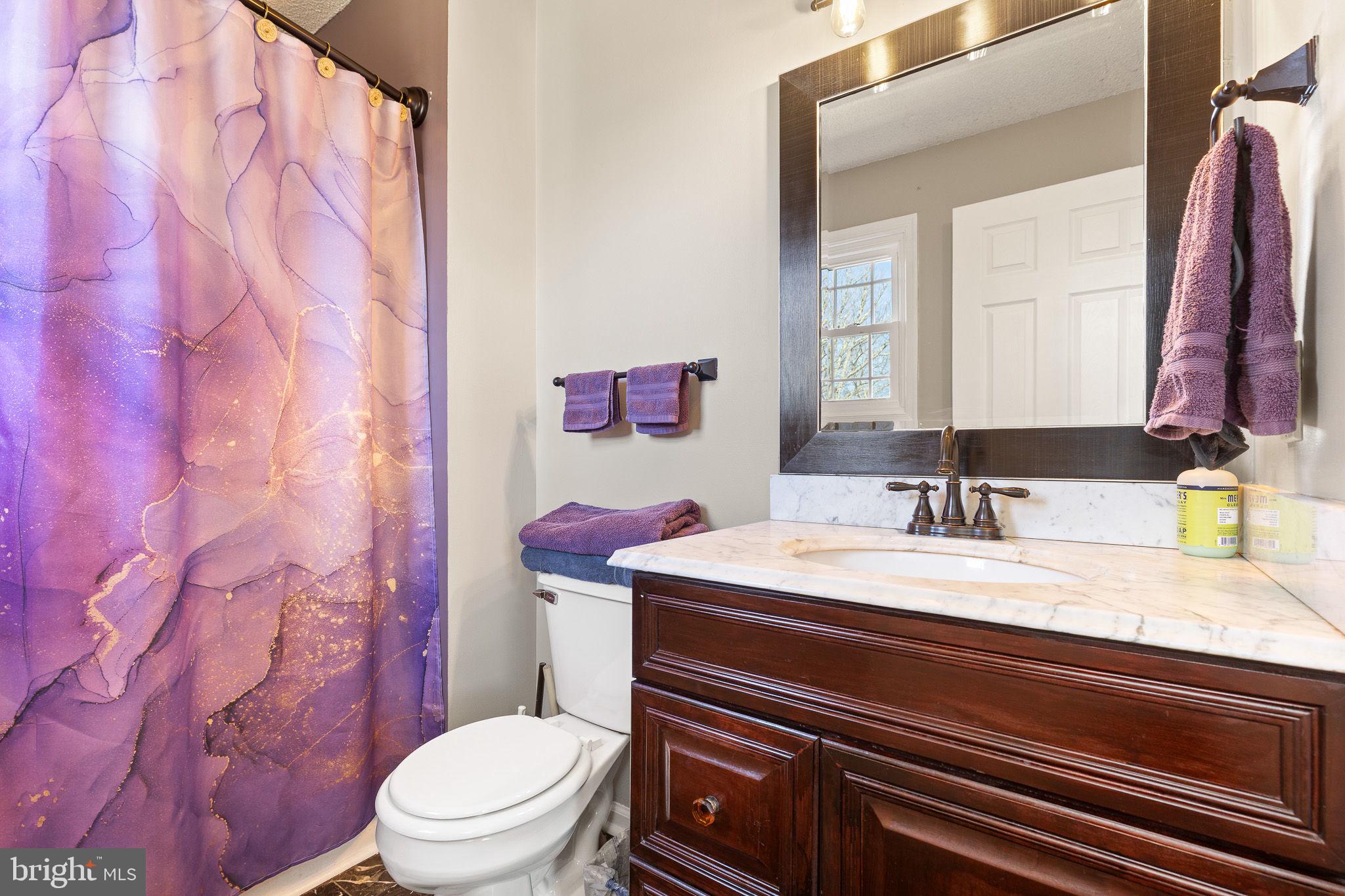 80 Scotsmans Glen Road Capon Bridge, WV 26711 - Photo 11 of 33 Primary full bathroom