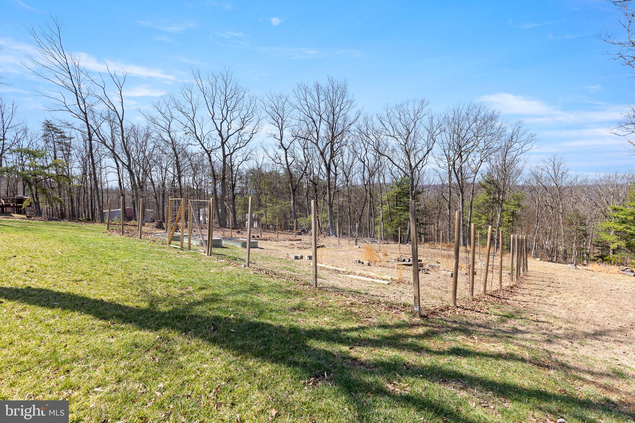 80 Scotsmans Glen Road Capon Bridge, WV 26711 - Photo 28 of 33 Fenced garden w/strawberries, asparagus rasberrys