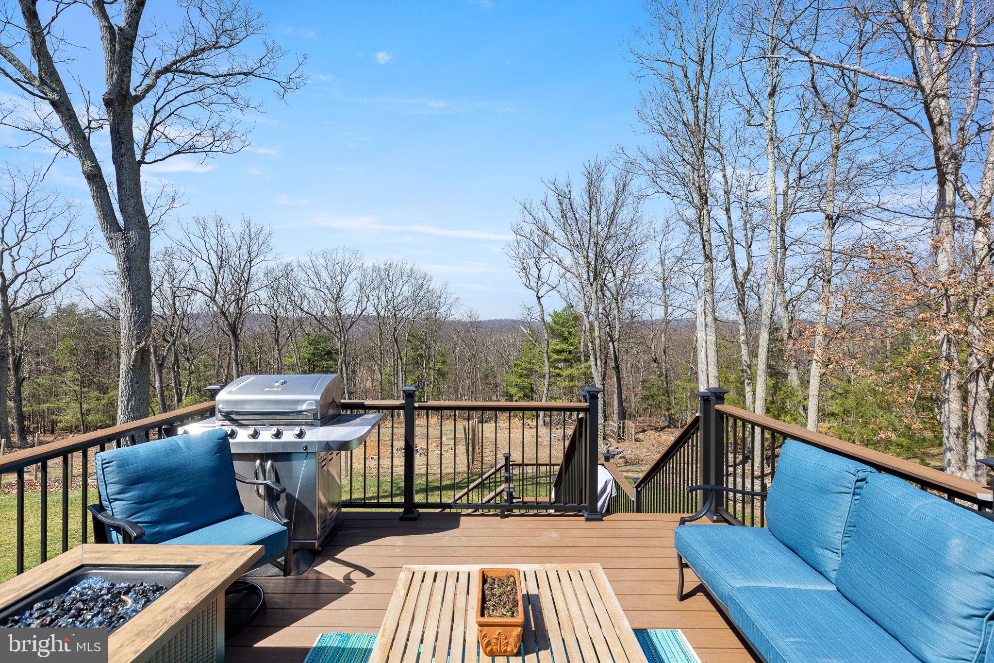80 Scotsmans Glen Road Capon Bridge, WV 26711 - Photo 4 of 33 Timbertech amazing deck, great space to enterain!