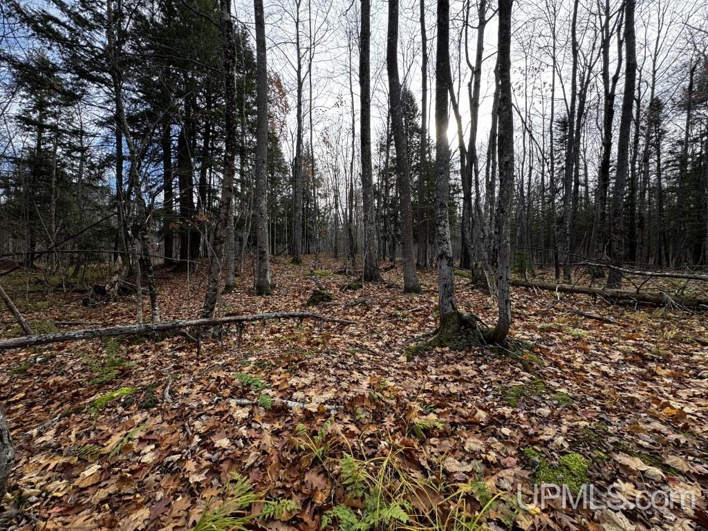 Tbd Skanee Road Skanee, MI 49962 - Photo 15 of 24 Gallery Image 15