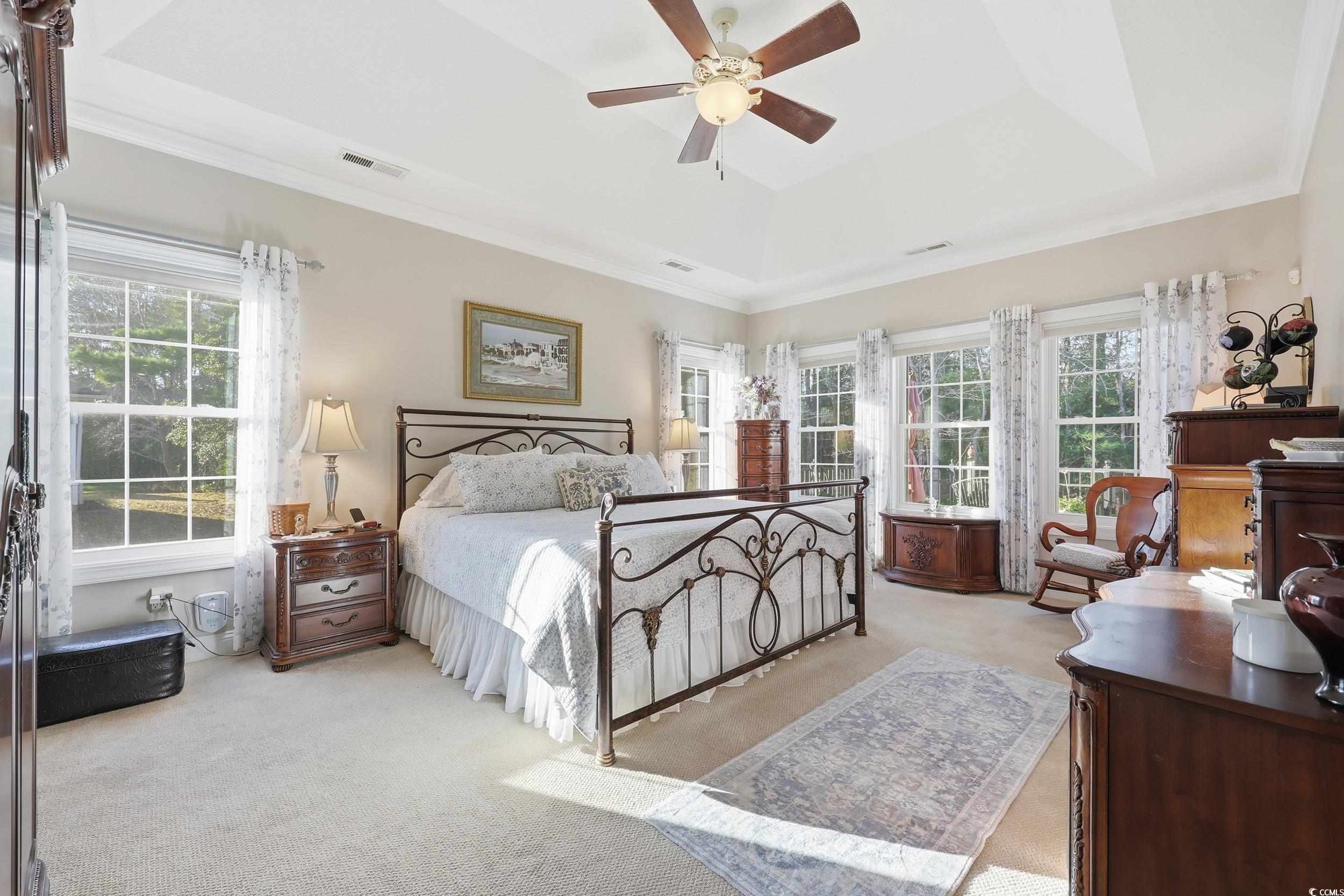 452 Deer Watch Circle Longs, SC 29568 - Photo 19 of 39 Main level bedroom featuring carpet floors, a tray ceiling, a ceiling fan, and crown molding