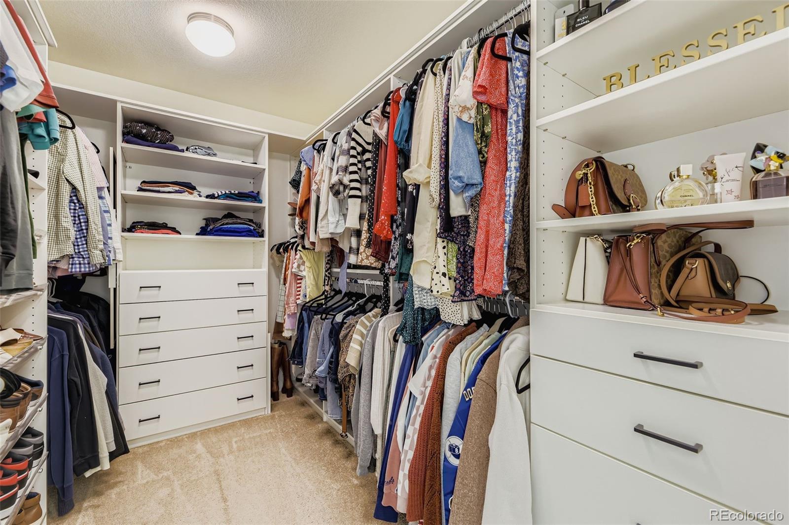 1126 Williams Loop Elizabeth, CO 80107 - Photo 23 of 50 a view of walk in closet with clothes and shoes
