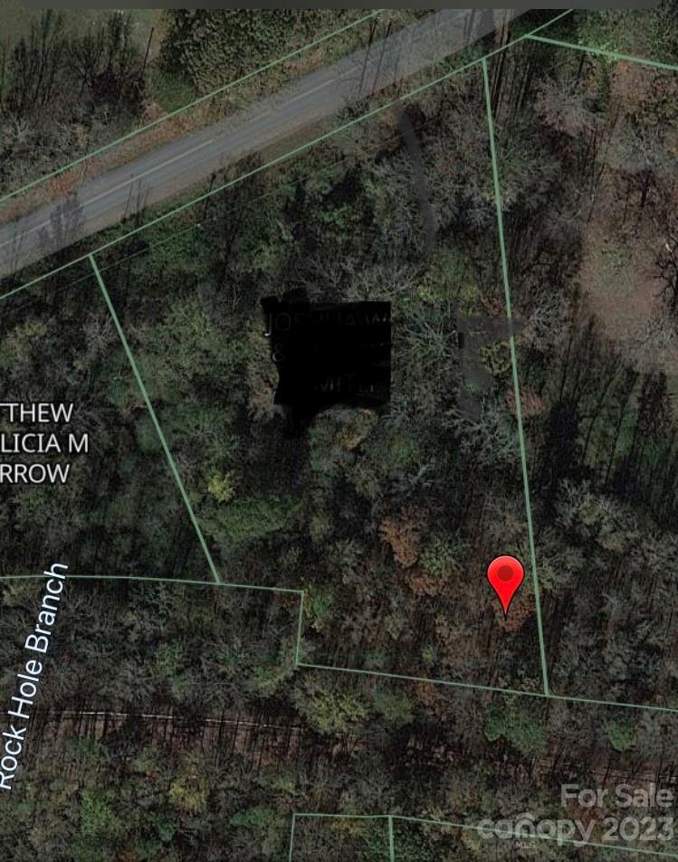 0 Big Lick Road Stanfield, NC 28163 - Photo 4 of 8